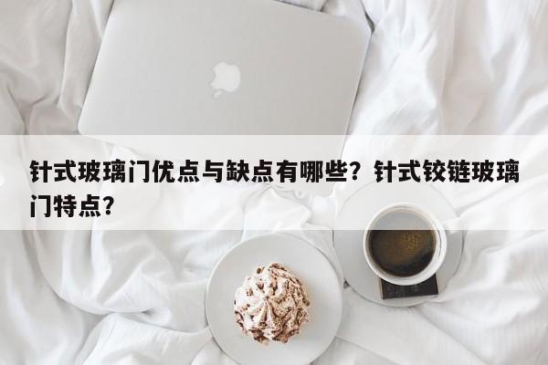 针式玻璃门优点与缺点有哪些？针式铰链玻璃门特点？